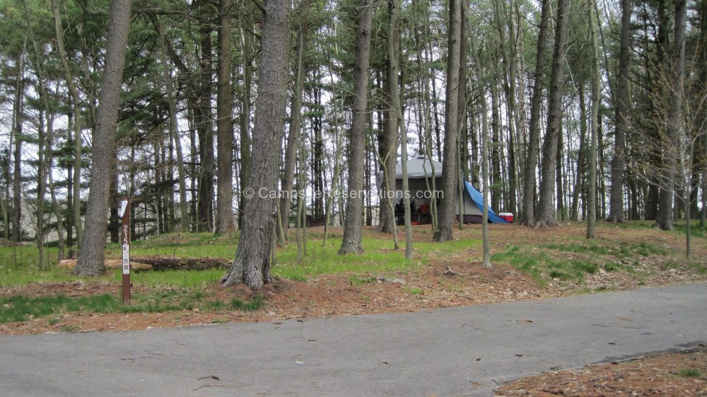 Photo of Campsite 215 in KohlerAndrae State Park Campground at Kohler